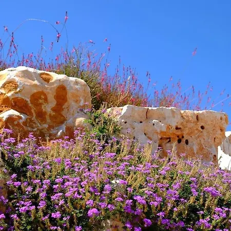 Villa Trullo Bella Vista