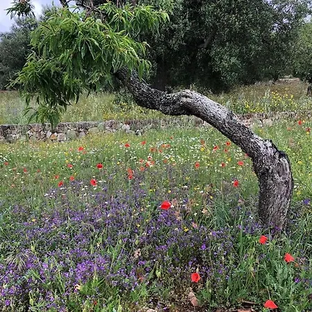 Trullo Bella Vista * Le Lamie di Olimpe